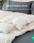 Down duvet/quilt