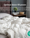 Down duvet/quilt