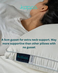 (HOMEDEC) BUY 1 FREE 1 Alternative Down Pillow