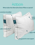 (HOMEDEC) BUY 1 FREE 1 Alternative Down Pillow