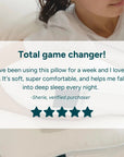 (HOMEDEC) BUY 1 FREE 1 Alternative Down Pillow