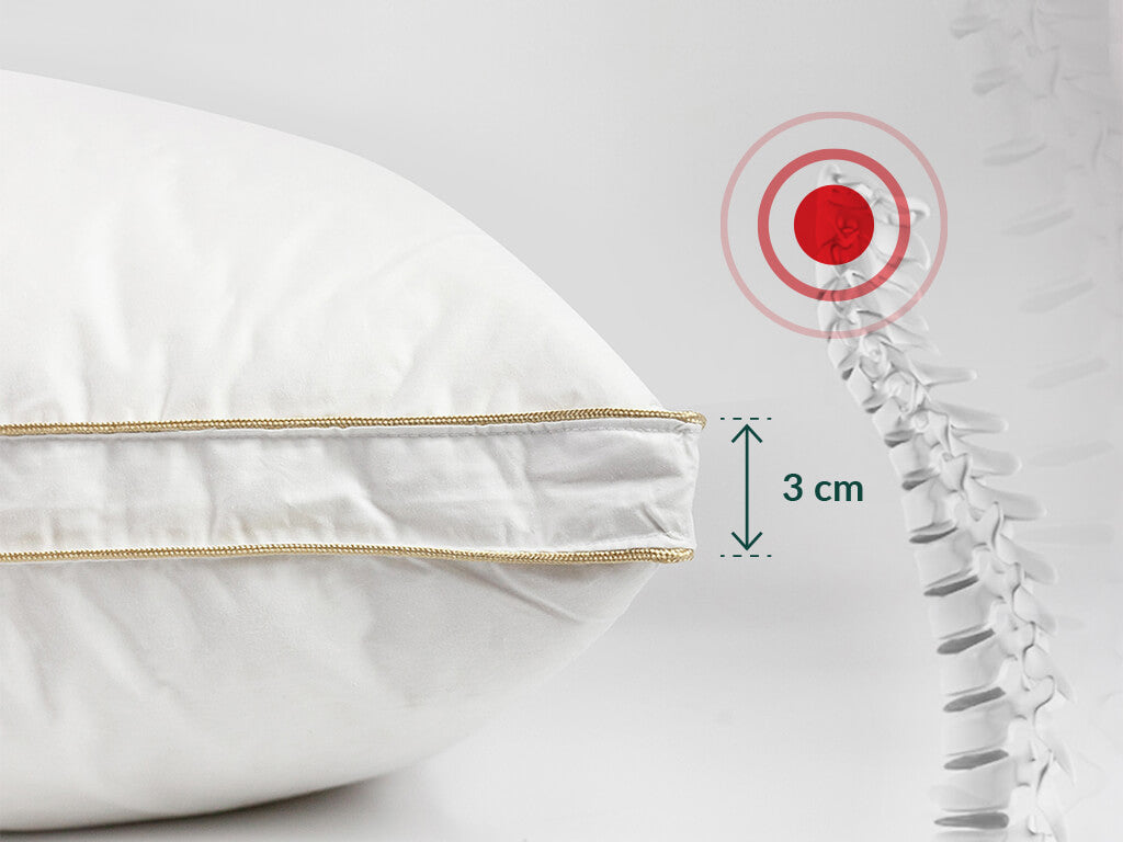 Down feather pillow - Kapas Living Malaysia and Singapore