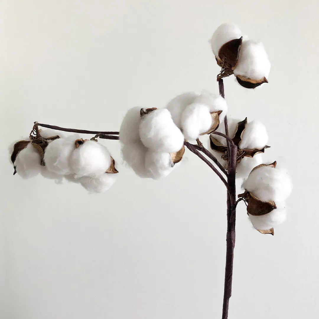 Extra long staple cotton bedding in Kapas Living Malaysia and Singapore
