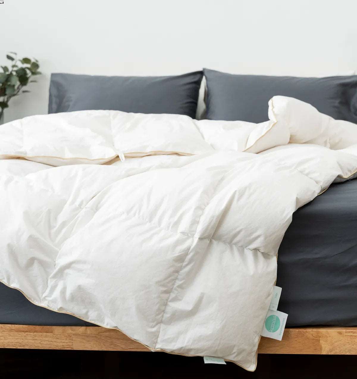 Down duvet/inserts/blanket - Kapas Living Malaysia and Singapore