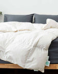 Down duvet/quilt Down duvet- Kapas Living Malaysia