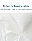 Extra-long staple cotton flat sheet