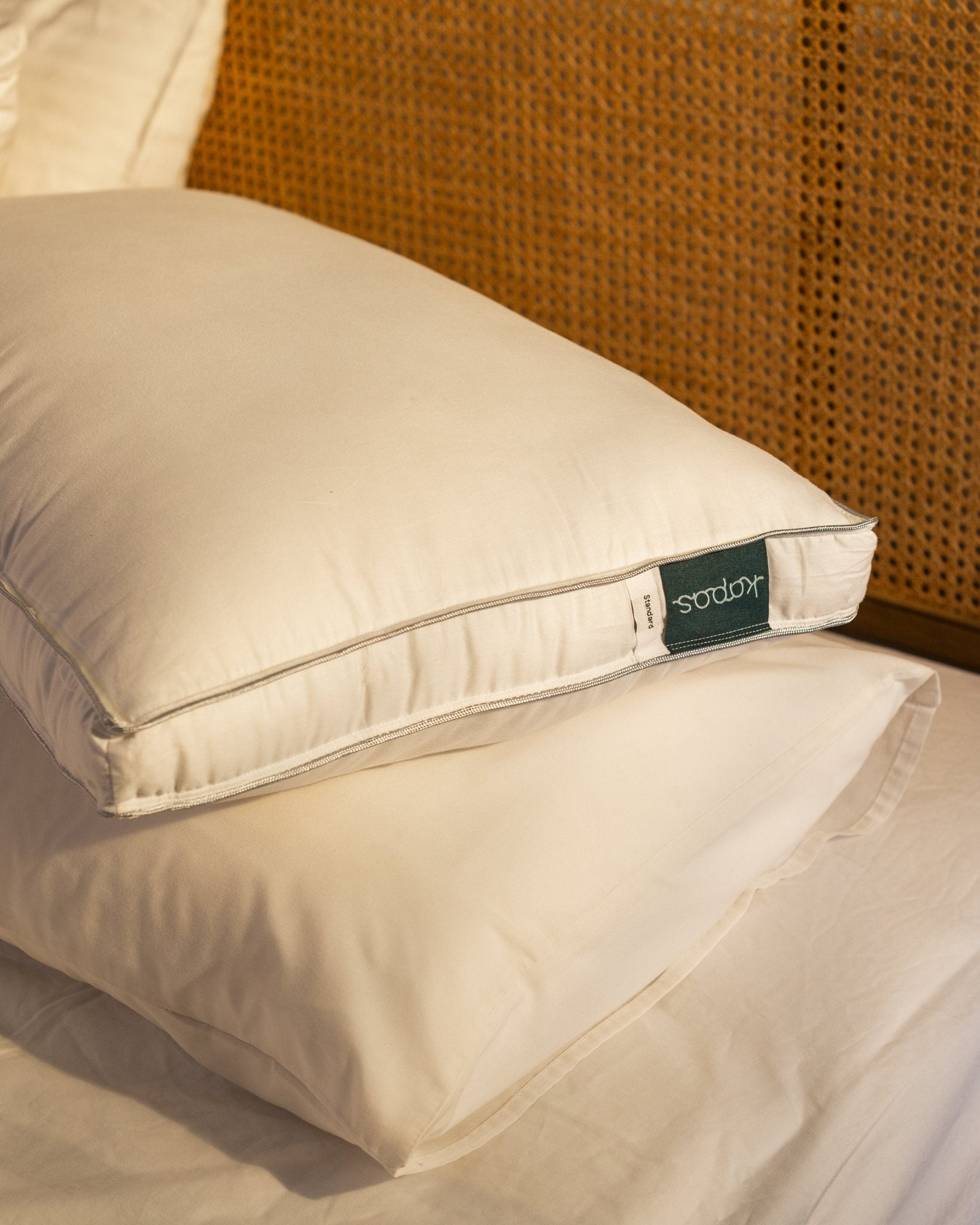 Pillows & Bolsters - Kapas Living Malaysia