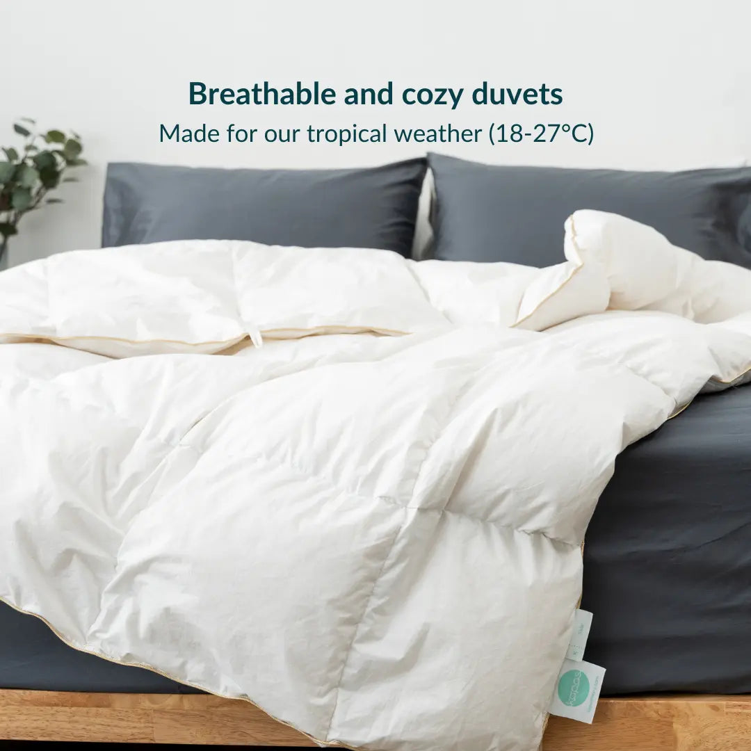 Down, Cotton and Alternative Down Duvets/Quilts