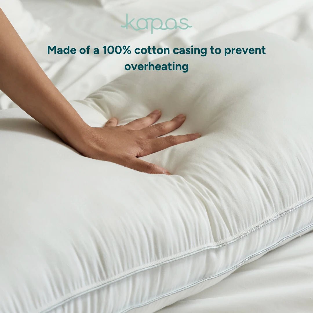(HOMEDEC) BUY 1 FREE 1 Alternative Down Pillow