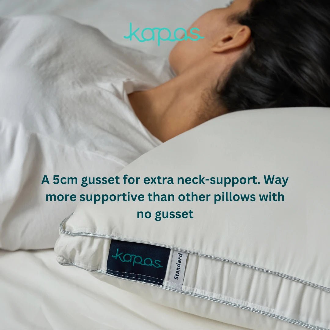 (HOMEDEC) BUY 1 FREE 1 Alternative Down Pillow