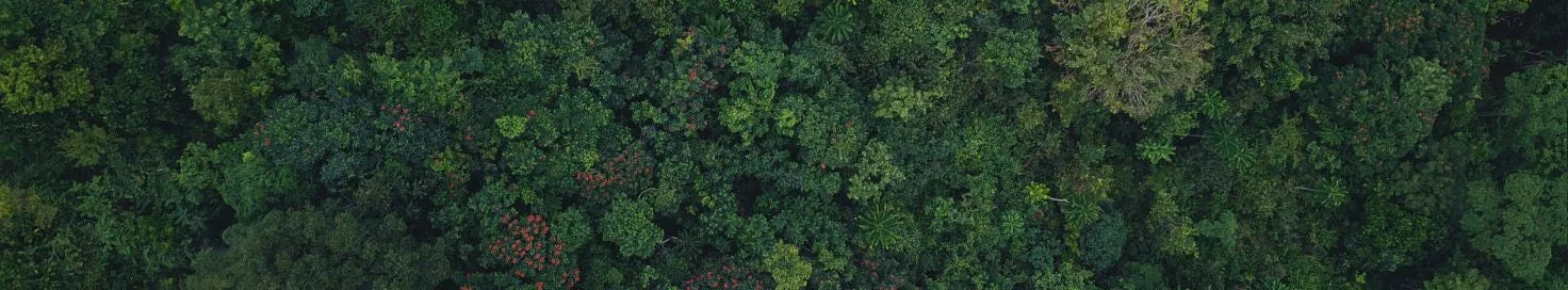 Oeko-Tex Standard 100 Certified