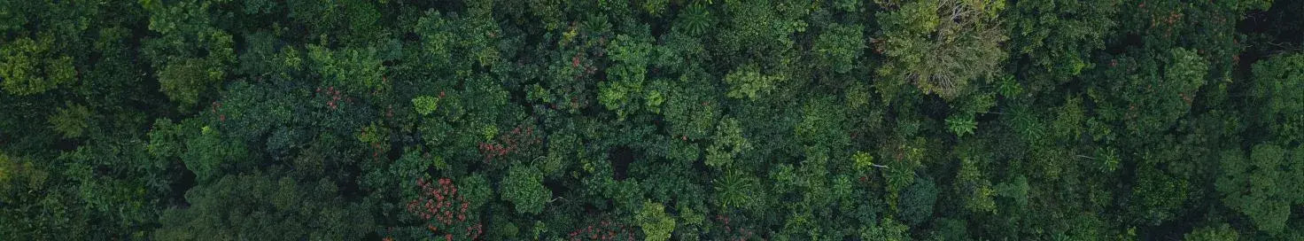 Oeko-Tex Standard 100 Certified