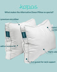 Alternative down pillow Alternative down pillow- Kapas Living Malaysia