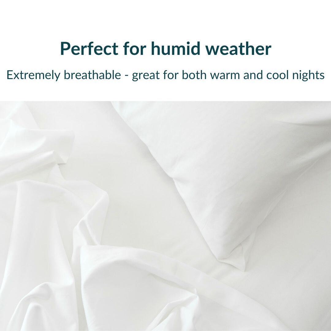 Extra-long staple cotton flat sheet