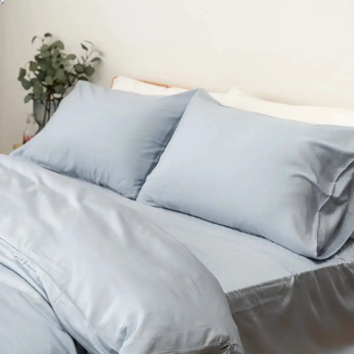 TENCEL™ Pillowcases Set (x2) – Cooling &amp; Silky Soft